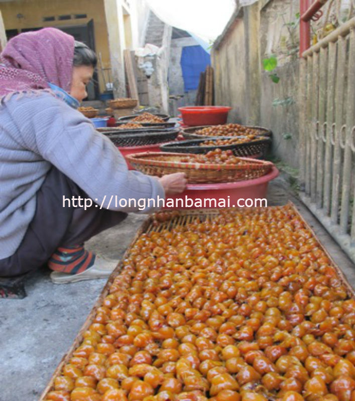 Thâm nhập nghề làm mứt táo sấy thủ công ở làng Vị, Hưng Yên