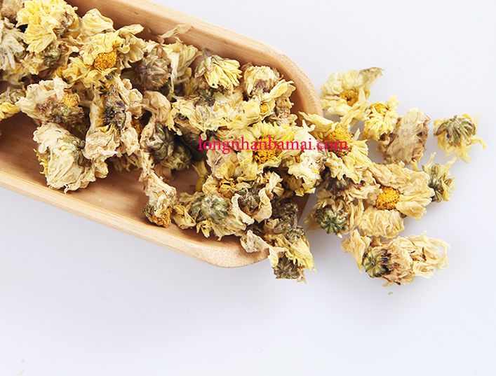 Hình ảnh hoa cúc khô dùng để pha với trà tâm sen